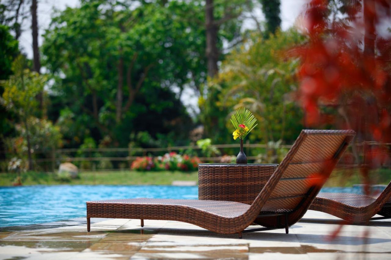 Jungle Villa Resort - Near Chitwan National Park Eksteriør bilde